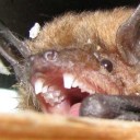 contrartcollection avatar