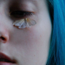 contravecontrarian avatar