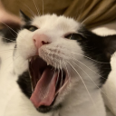 controlledchaosetcetc avatar