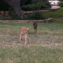 controller999 avatar