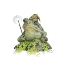 convergentstrabismus avatar