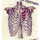 convincingcannibal avatar