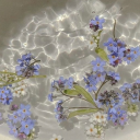 convulsionofhonesty avatar