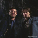 coocooforcocopuffs13 avatar