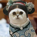 cookie115 avatar