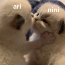 cookieandbunny avatar