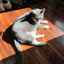 cookieboollion avatar