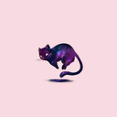 cookiecatgalaxy avatar