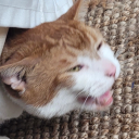 cookiemonstersbong avatar