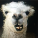 cookiemuncher679 avatar