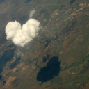 cookies-and-biscuits avatar