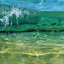 cookies-and-politics avatar