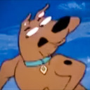 cookies-in-chees avatar