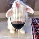 cookiesandvodka avatar