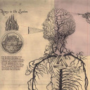 cookiessssssss avatar