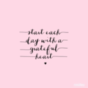 cookiestudiesx-blog avatar