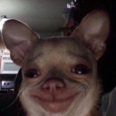 cookiesxbrownies avatar