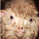 cool--blog avatar