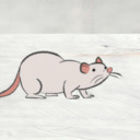 cool-creative-blog-name avatar