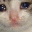 cool-meme-fucker avatar