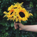 cool-salma-universe avatar