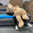 coolalienslikeme avatar