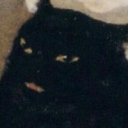 coolbeansandshit avatar