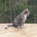 coolbeansemporium avatar