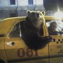 coolcalmcollector-blog avatar