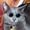 coolcat001100 avatar