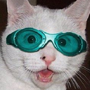 coolcatlance-blog avatar