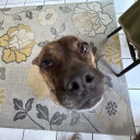 coolcatsrcool-blog avatar