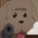 coolcrownluminary avatar