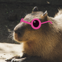 coolest-capybara avatar