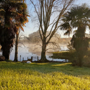 coolfancollector88 avatar