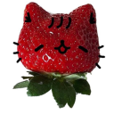 coolfunstrawberry avatar