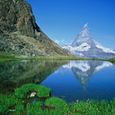 coolhopelesswanderer avatar