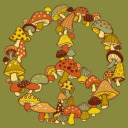 coolhoundexpertdeputy avatar