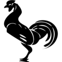 coolidgesrooster avatar