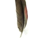 coolimages-blog avatar