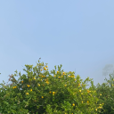 coolingtower620 avatar