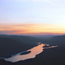 coolinternetgang avatar