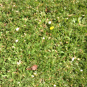 coolkatlol-blog avatar