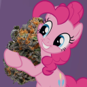 coolkidalex413 avatar