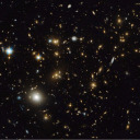 coolsharkthings avatar