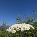 coolsloth2000 avatar