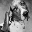 coolstylesstuff avatar