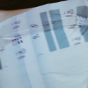 cooltreefarmpeanut avatar