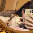 cooooookiebunny avatar