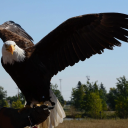 coop123sworld avatar